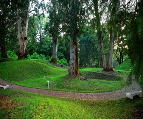 Дендрологический Парк из Батуми